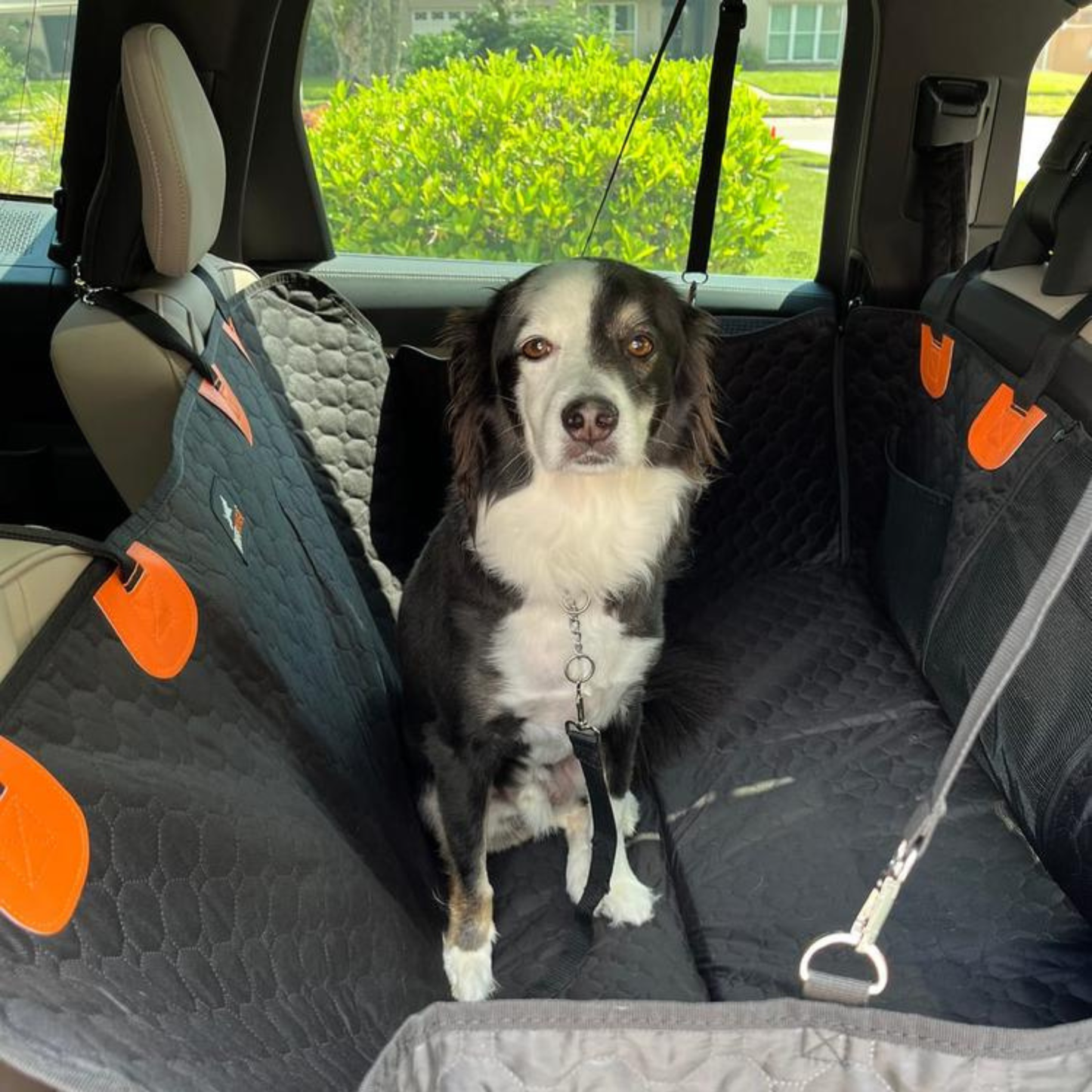 PupGuard™ - Hard Bottom Dog Car Seat Protector