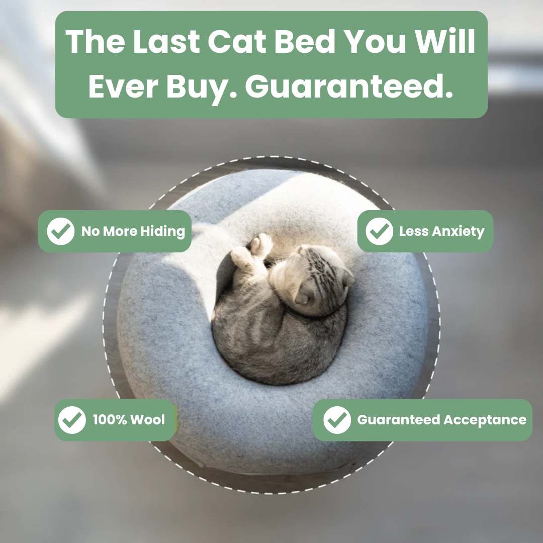 CozyCocoon™ - Viral Wool Cave (100% Natural Merino).