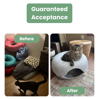 CozyCocoon™ - Viral Wool Cave (100% Natural Merino).