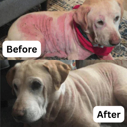 PawsAreHuman™ - Viral Shiny Coat Treat!