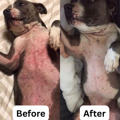 PawsAreHuman™ - Viral Shiny Coat Treat!