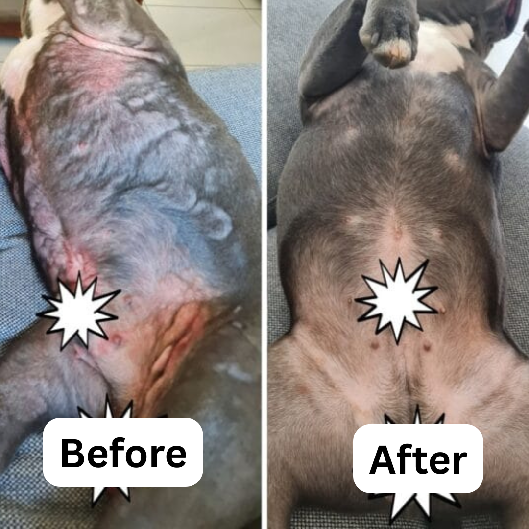 PawsAreHuman™ - Viral Shiny Coat Treat!