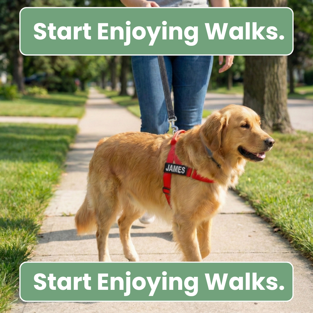 KindStep™ — Viral No-Pull Harness—Buy 2 Get 1 FREE