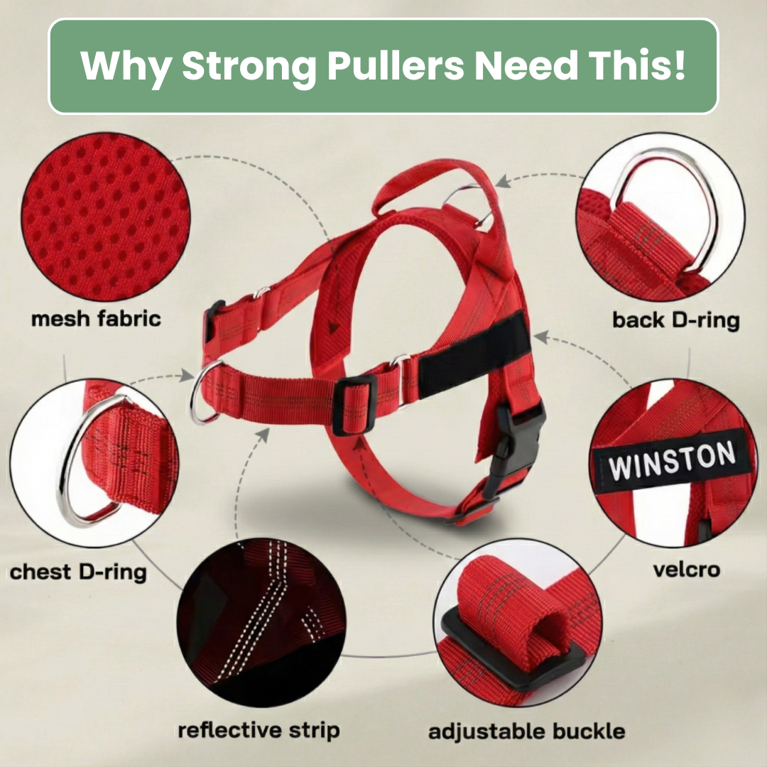KindStep™ — Viral No-Pull Harness—Buy 2 Get 1 FREE