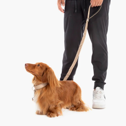KindLeash™ - Absorbs Pulling for a Softer, Easier Walk.