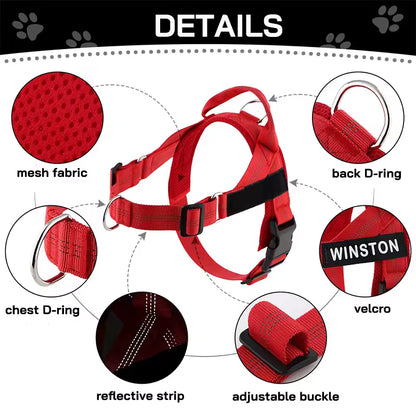 KindStep™ — Viral No-Pull Harness—Buy 2 Get 1 FREE