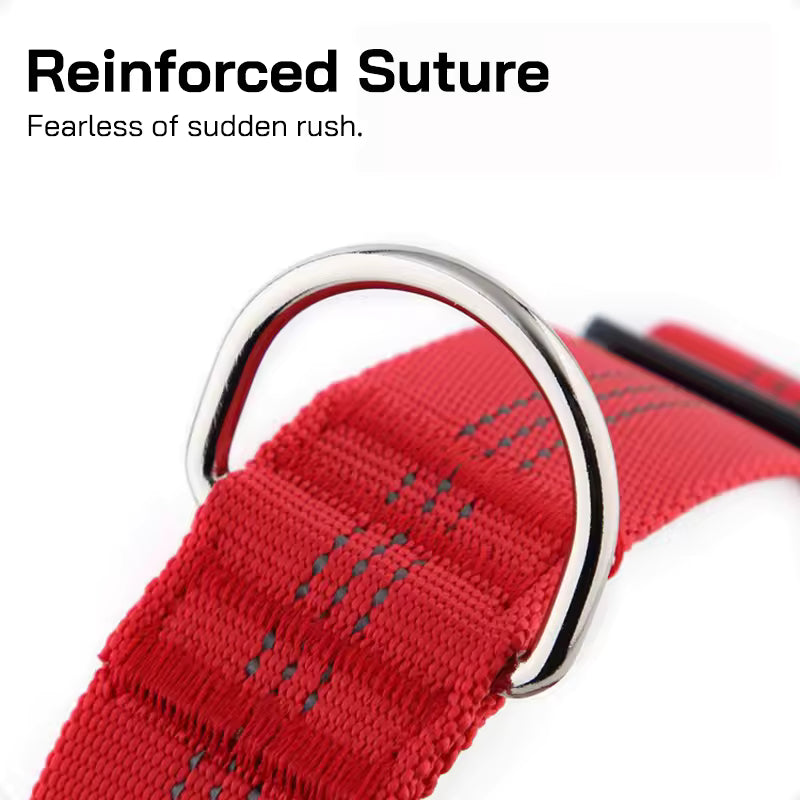 KindStep™ — Viral No-Pull Harness—Buy 2 Get 1 FREE