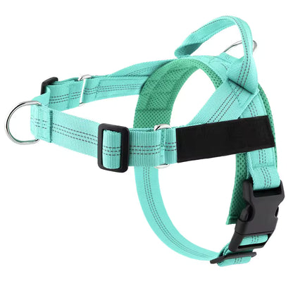 KindStep™ — Viral No-Pull Harness—Buy 2 Get 1 FREE