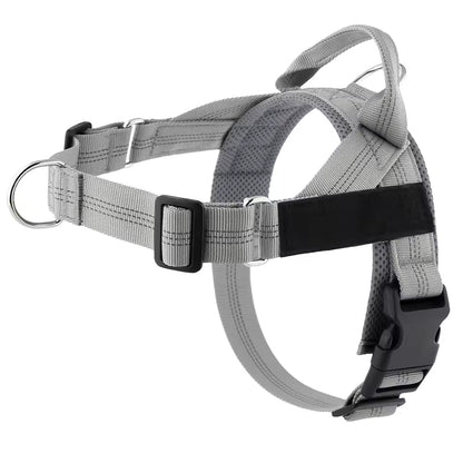 KindStep™ — Viral No-Pull Harness—Buy 2 Get 1 FREE