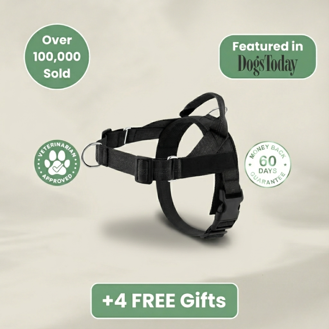 KindStep™ — Viral No-Pull Harness—Buy 2 Get 1 FREE