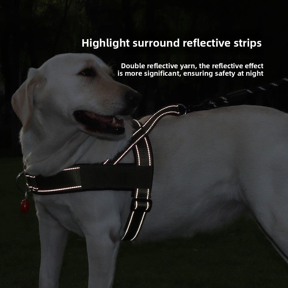 KindStep™ — Easy Control, Front-Clip Harness.