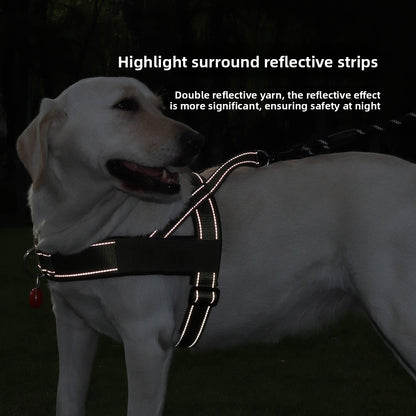 KindStep™ — Easy Control, Front-Clip Harness.