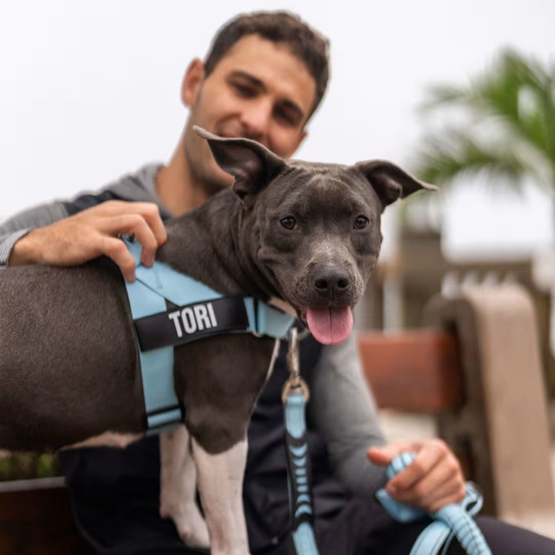 KindStep™ — Viral No-Pull Harness—Buy 2 Get 1 FREE