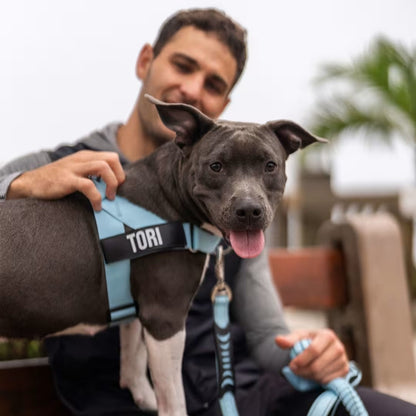 KindStep™ — Viral No-Pull Harness—Buy 2 Get 1 FREE